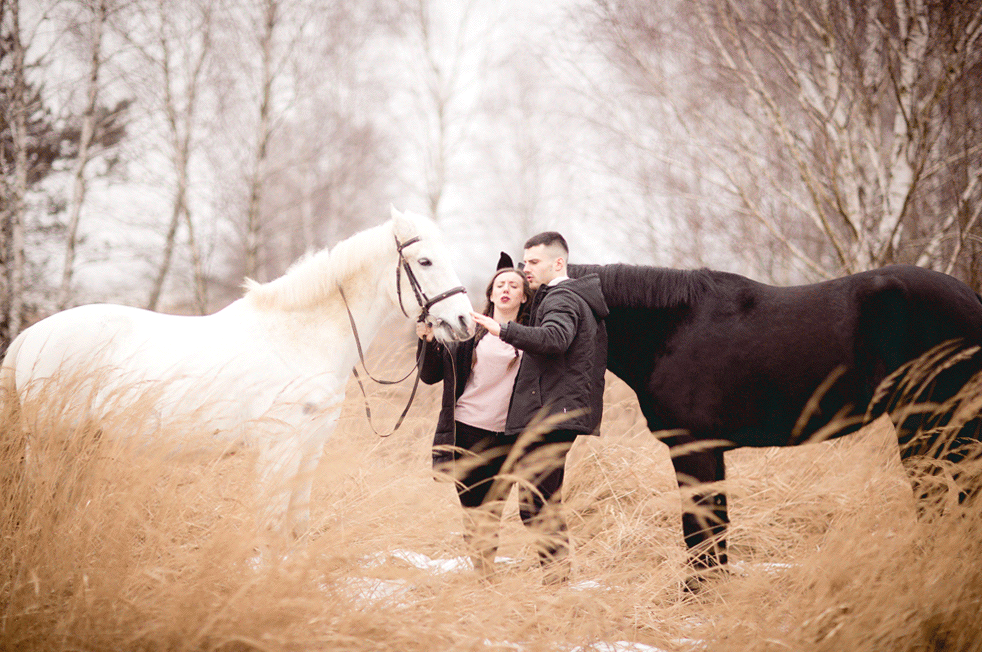 sesja pary z końmi w zimę