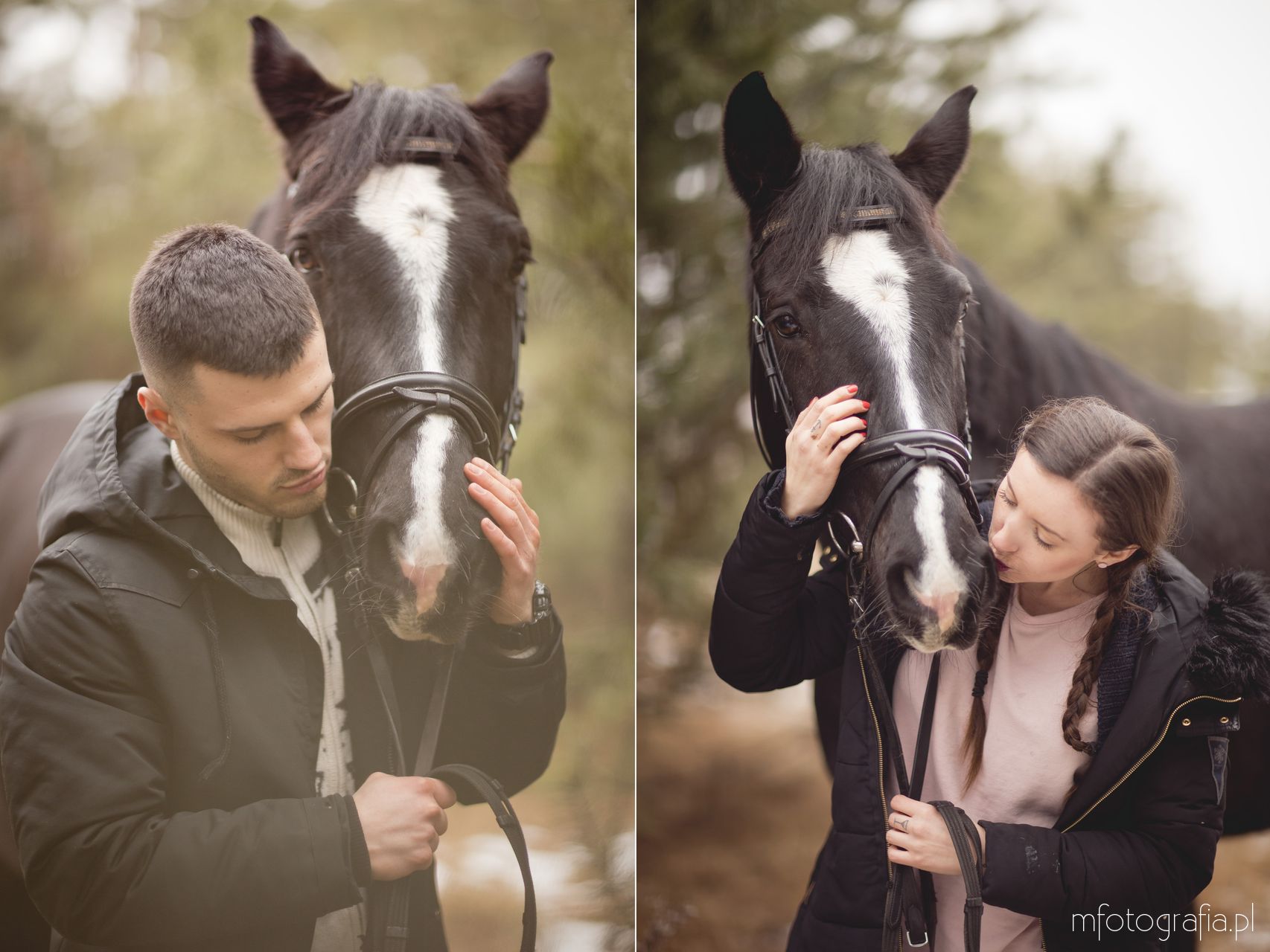 zimowa sesja zakochanych z końmi
