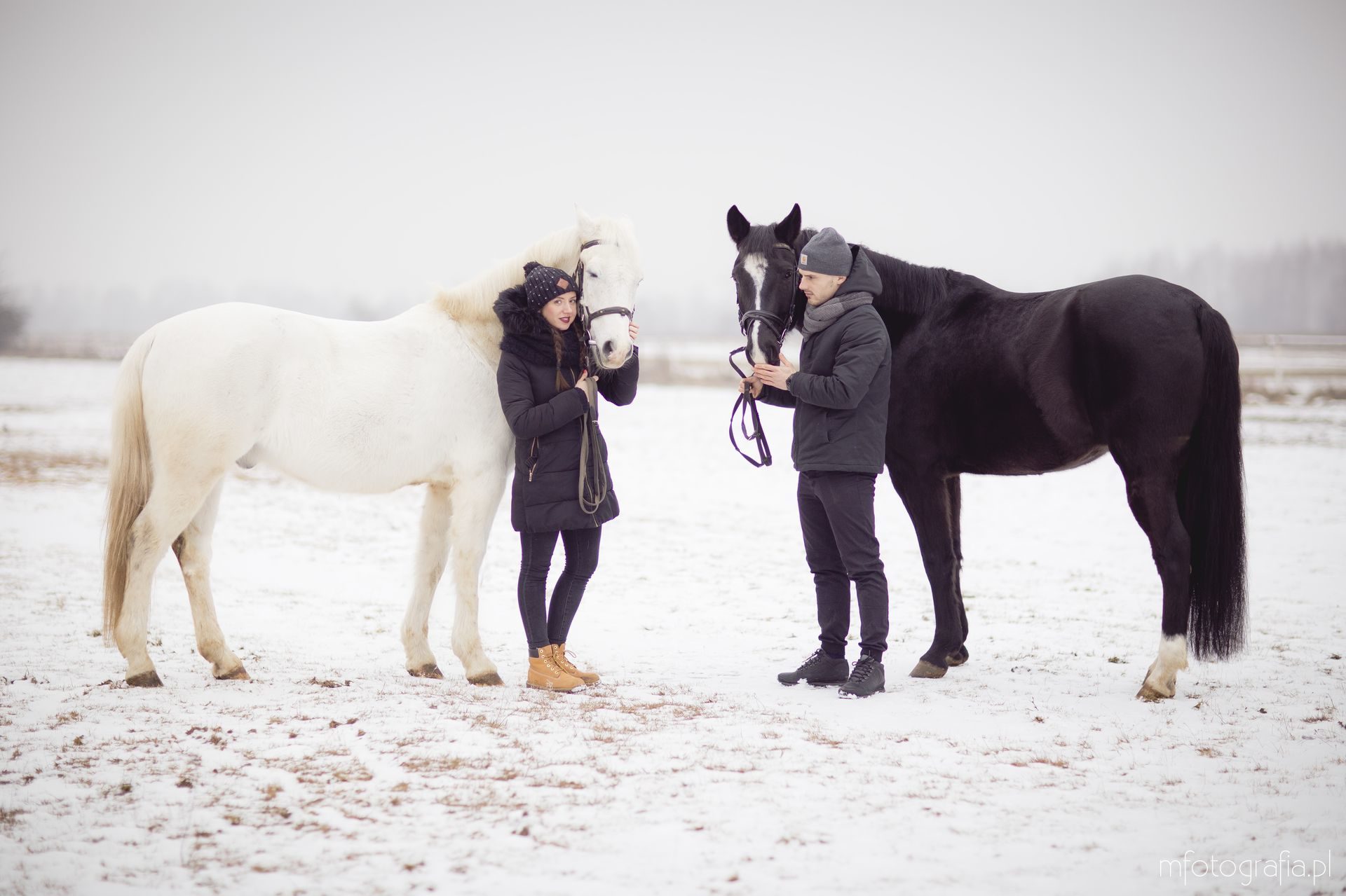 zimowe zdjęcia pary zimą z końmi
